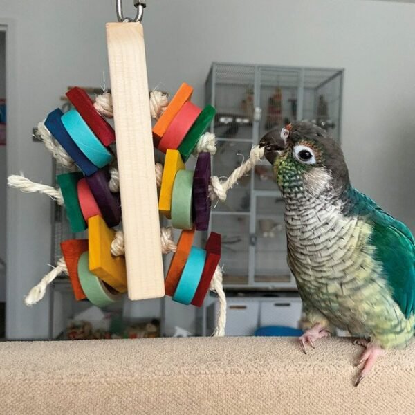 Parrot Toys